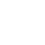 Participant 8